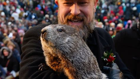 how accurate is punxsutawney phil|A Look at Punxsutawney Phil’s Accuracy Rate by .